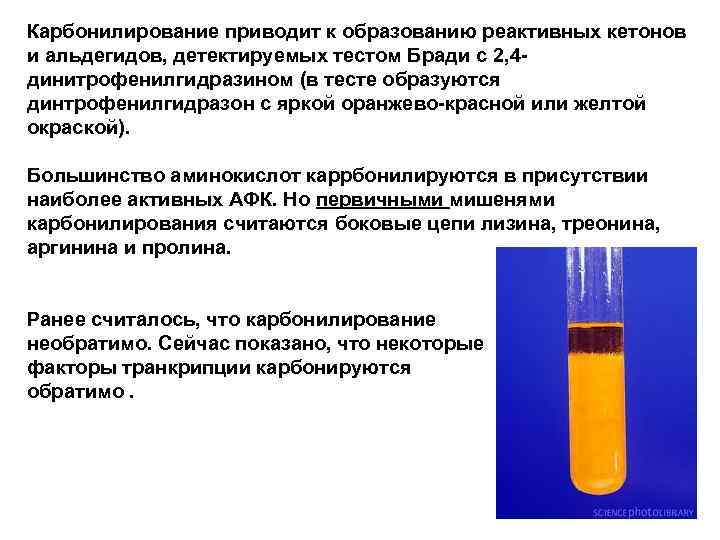 Карбонилирование приводит к образованию реактивных кетонов и альдегидов, детектируемых тестом Бради с 2, 4