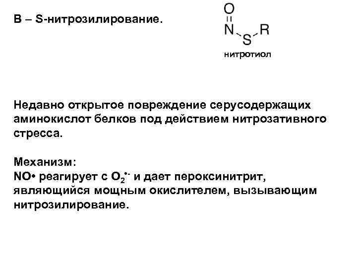 В – S нитрозилирование. нитротиол Недавно открытое повреждение серусодержащих аминокислот белков под действием нитрозативного