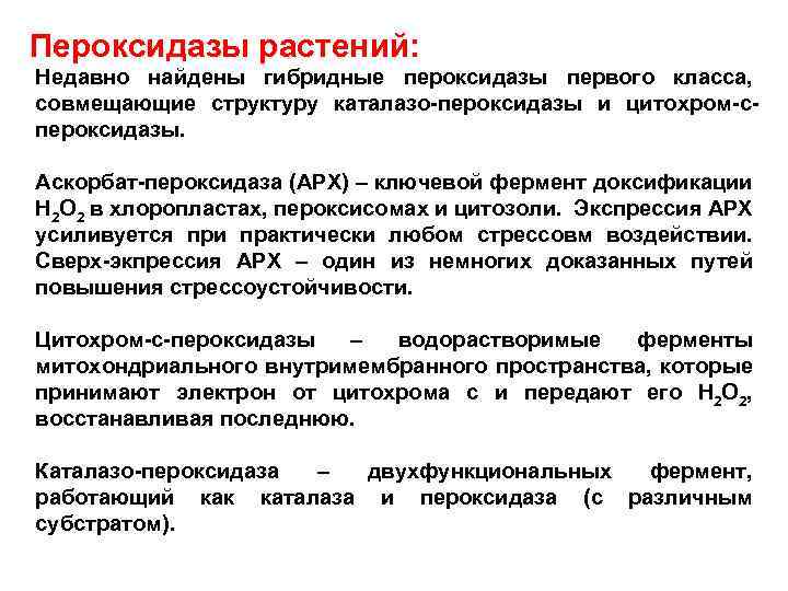 Пероксидазы растений: Недавно найдены гибридные пероксидазы первого класса, совмещающие структуру каталазо пероксидазы и цитохром