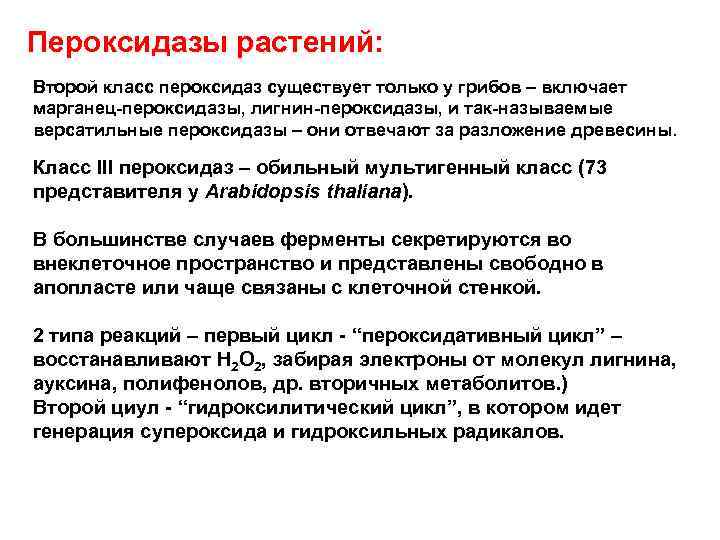 Пероксидазы растений: Второй класс пероксидаз существует только у грибов – включает марганец пероксидазы, лигнин