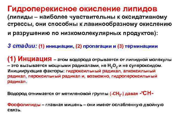 Гидроперекисное окисление липидов (липиды – наиболее чувствительны к оксидативному стрессы, они способны к лавинообразному