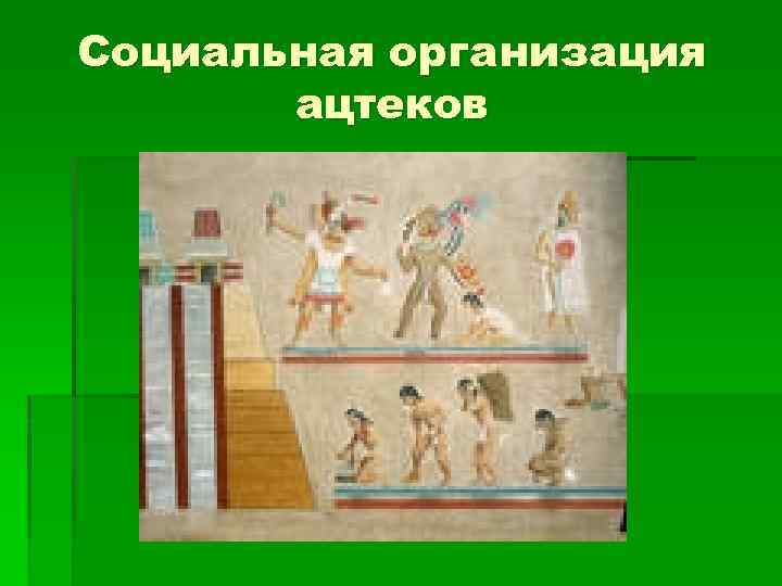 Социальная организация ацтеков 