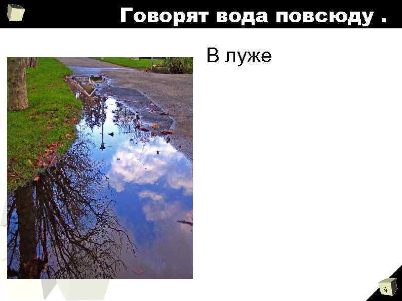 Говорят вода повсюду. В луже 4 