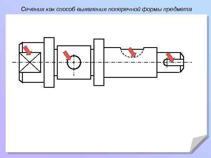 Сечения как способ выявления поперечной формы предмета 