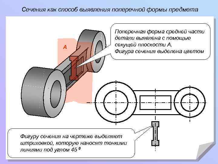 Сечения как способ выявления поперечной формы предмета А Поперечная форма средней части детали выявлена