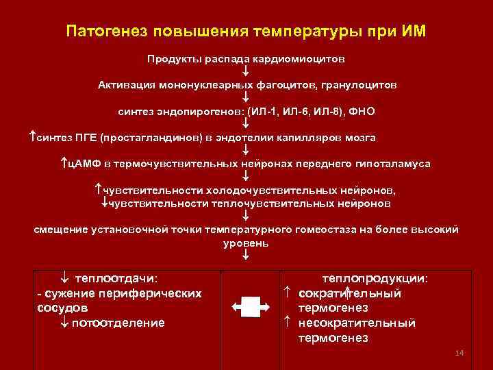 Патогенез повышения температуры при ИМ Продукты распада кардиомиоцитов Активация мононуклеарных фагоцитов, гранулоцитов синтез эндопирогенов: