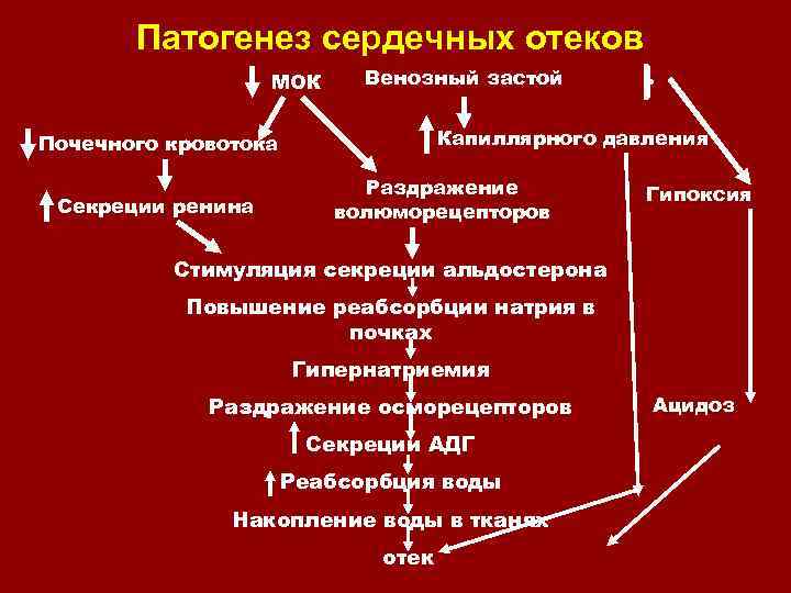 Патогенез сердечных отеков МОК Венозный застой Капиллярного давления Почечного кровотока Секреции ренина Раздражение волюморецепторов