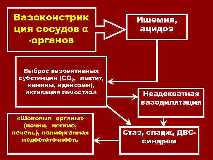 Вазоконстрик ция сосудов -органов Выброс вазоактивных субстанций (СО 2, лактат, кинины, аденозин), активация гемостаза