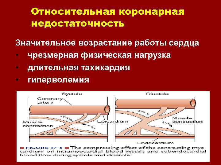 Схема старлинга патофизиология