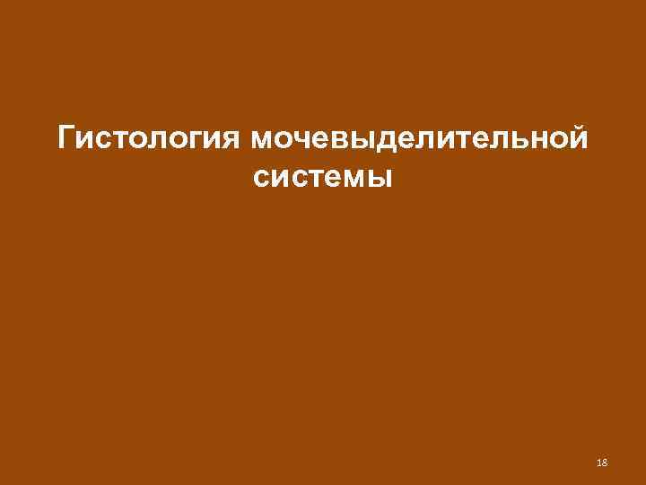 Гистология мочевыделительной системы 18 