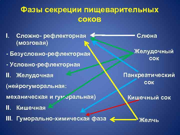 Фазы секреции пищеварительных соков I. Сложно- рефлекторная (мозговая) - Безусловно-рефлекторная - Условно-рефлекторная II. Желудочная