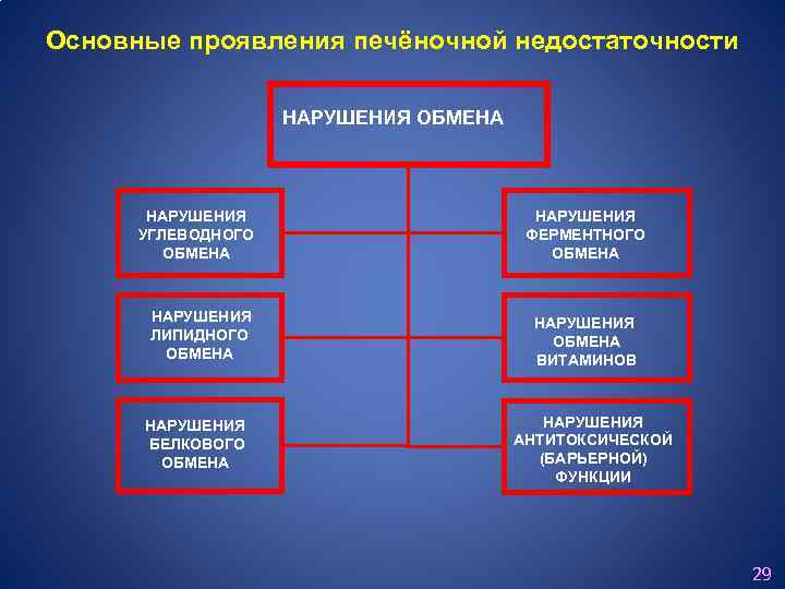 Основные проявления печёночной недостаточности НАРУШЕНИЯ ОБМЕНА НАРУШЕНИЯ УГЛЕВОДНОГО ОБМЕНА НАРУШЕНИЯ ЛИПИДНОГО ОБМЕНА НАРУШЕНИЯ БЕЛКОВОГО