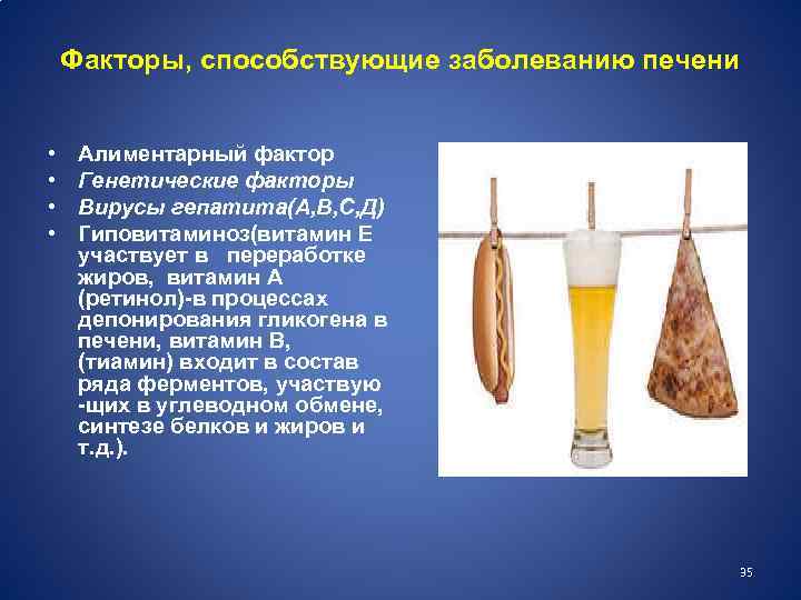 Факторы, способствующие заболеванию печени • • Алиментарный фактор Генетические факторы Вирусы гепатита(А, В, С,
