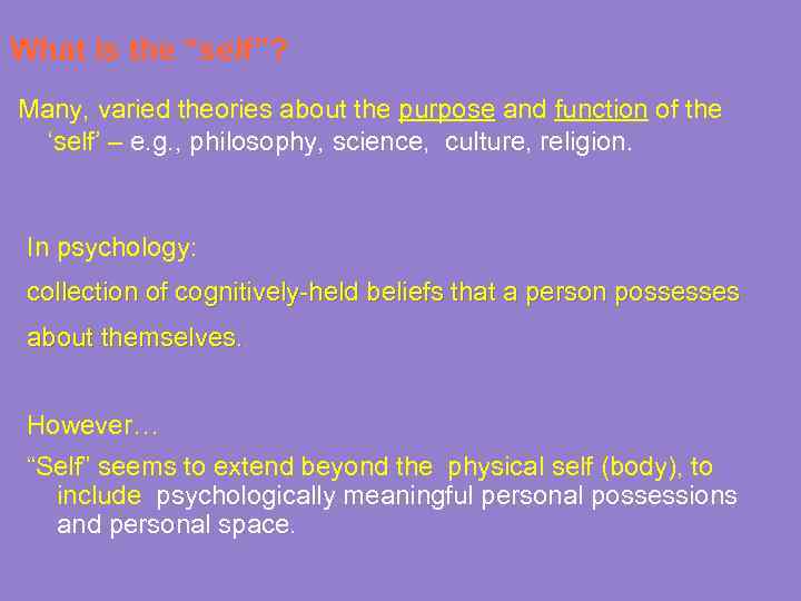 What is the “self”? Many, varied theories about the purpose and function of the