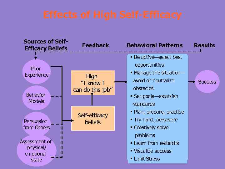 Effects of High Self-Efficacy Sources of Self. Efficacy Beliefs Feedback Behavioral Patterns Results §