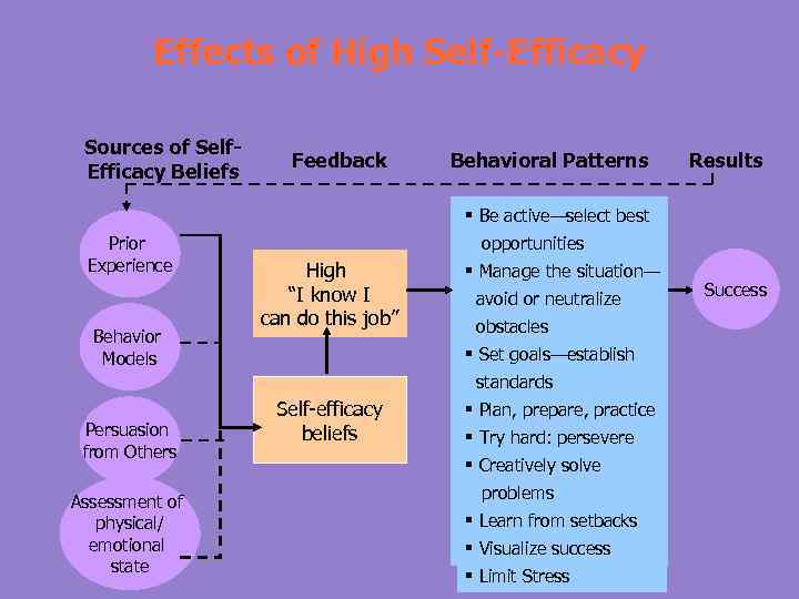 Effects of High Self-Efficacy Sources of Self. Efficacy Beliefs Feedback Behavioral Patterns Results §