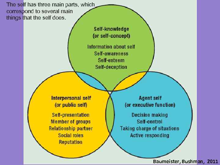 The self has three main parts, which correspond to several main things that the