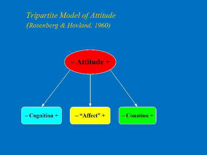 Tripartite Model of Attitude (Rosenberg & Hovland, 1960) 