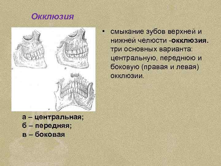 Окклюзия это. Передняя окклюзия зубов. Боковая окклюзия зубов.