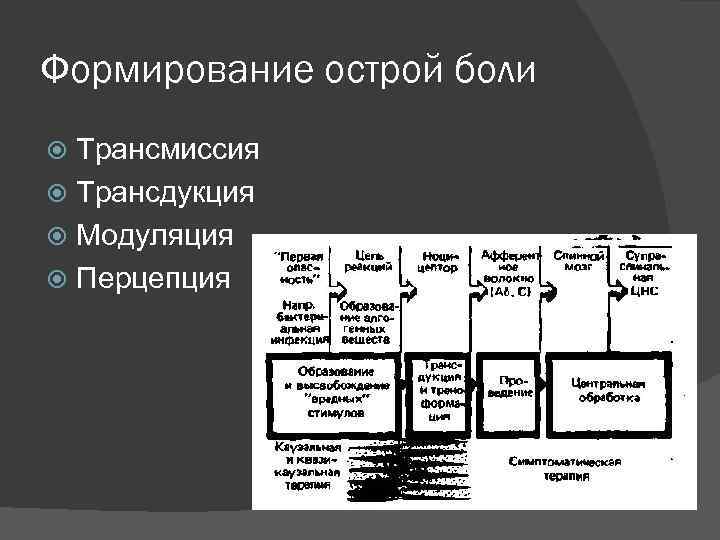 Формирование острой боли Трансмиссия Трансдукция Модуляция Перцепция 