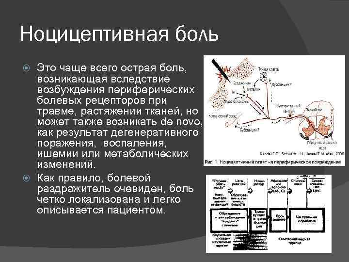 Что характерно для болевых ноцицептивных ощущений