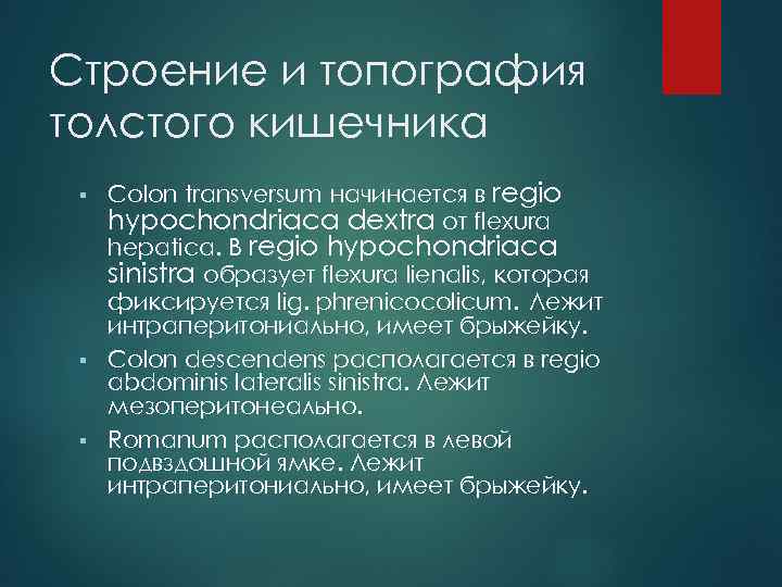 Строение и топография толстого кишечника Colon transversum начинается в regio hypochondriaca dextra от flexura