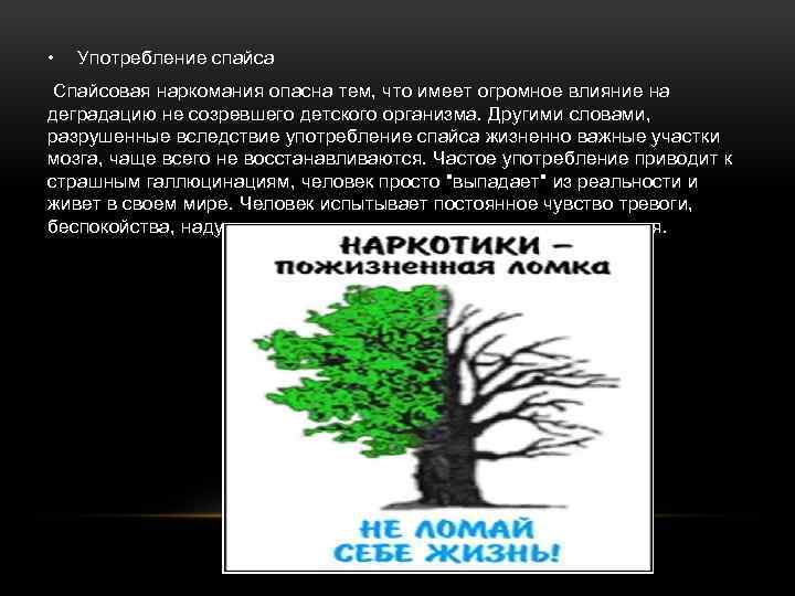  • Употребление спайса Спайсовая наркомания опасна тем, что имеет огромное влияние на деградацию