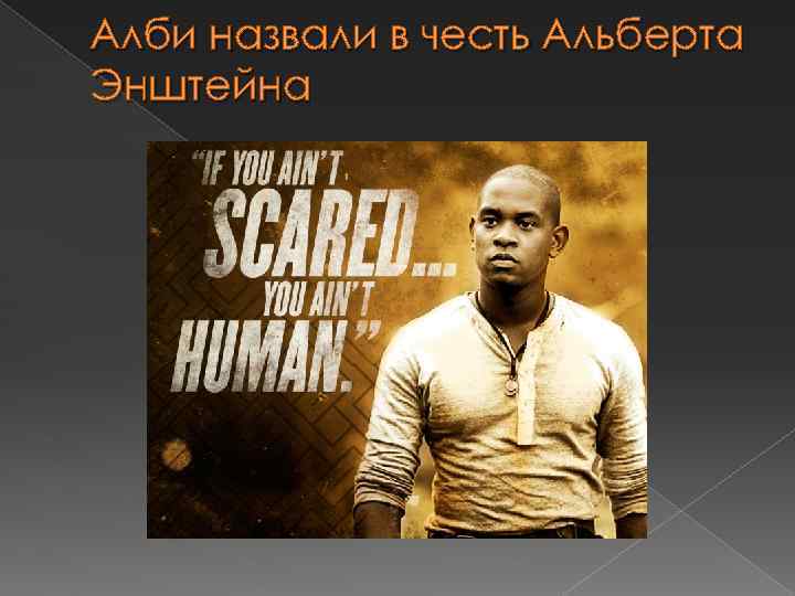 Алби назвали в честь Альберта Энштейна 