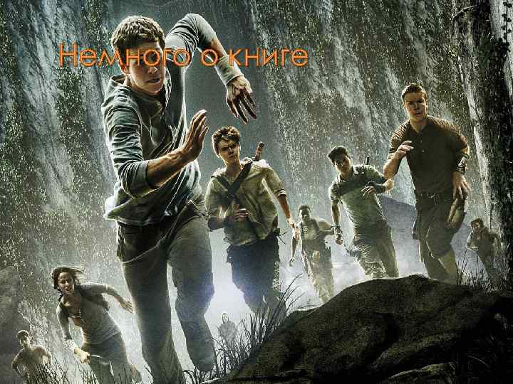 Немного о книге 