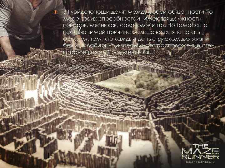 В Глэйде юноши делят между собой обязанности по мере своих способностей. Имеются должности поваров,