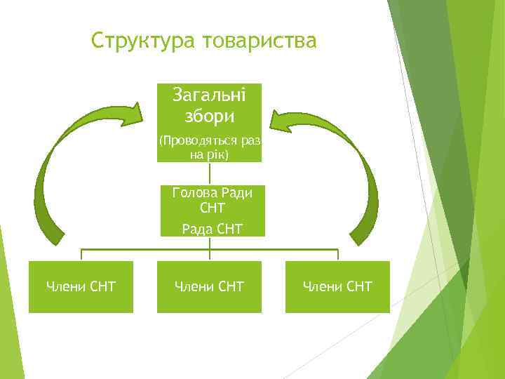 Структура товариства Загальні збори (Проводяться раз на рік) Голова Ради СНТ Рада СНТ Члени