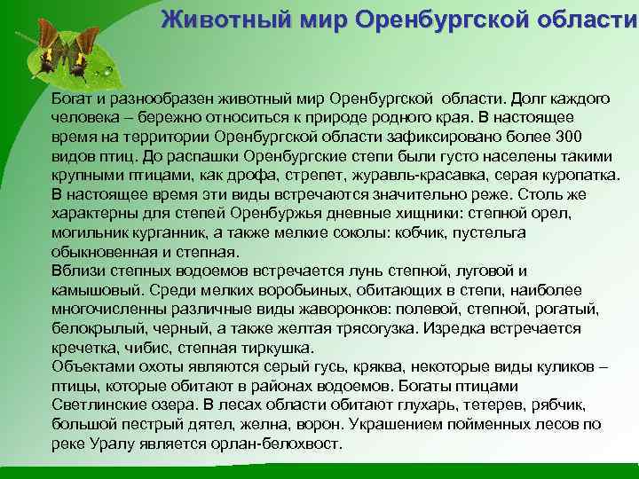 Животный мир Оренбургской области Богат и разнообразен животный мир Оренбургской области. Долг каждого человека