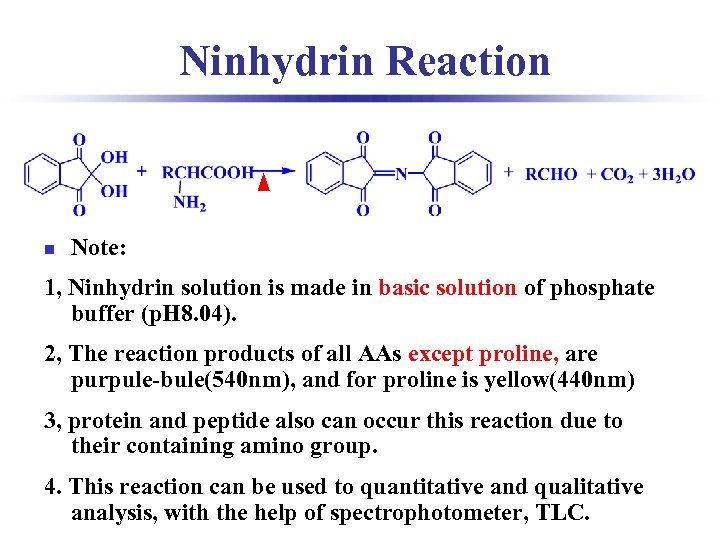 Ninhydrin Reaction n Note: 1, Ninhydrin solution is made in basic solution of phosphate