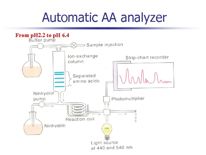 Automatic AA analyzer From p. H 2. 2 to p. H 6. 4 