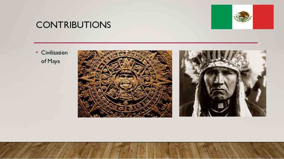 CONTRIBUTIONS • Civilization of Maya 