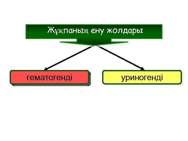 Жұқпаның ену жолдары гематогенді уриногенді 