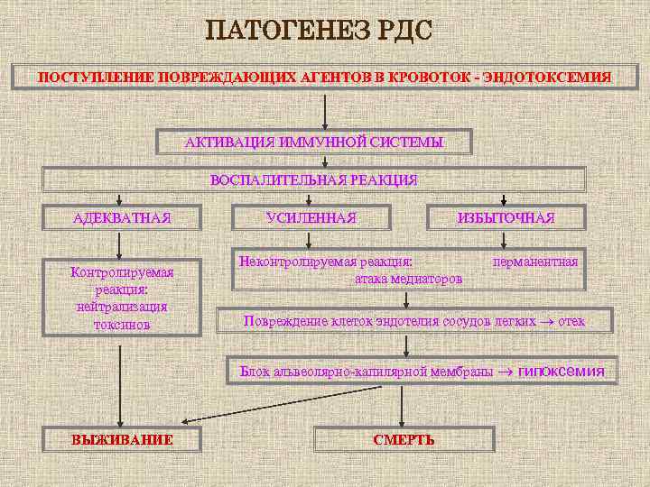 ПАТОГЕНЕЗ РДС ПОСТУПЛЕНИЕ ПОВРЕЖДАЮЩИХ АГЕНТОВ В КРОВОТОК - ЭНДОТОКСЕМИЯ АКТИВАЦИЯ ИММУННОЙ СИСТЕМЫ ВОСПАЛИТЕЛЬНАЯ РЕАКЦИЯ