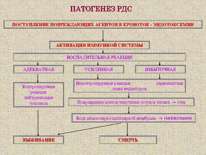 ПАТОГЕНЕЗ РДС ПОСТУПЛЕНИЕ ПОВРЕЖДАЮЩИХ АГЕНТОВ В КРОВОТОК - ЭНДОТОКСЕМИЯ АКТИВАЦИЯ ИММУННОЙ СИСТЕМЫ ВОСПАЛИТЕЛЬНАЯ РЕАКЦИЯ