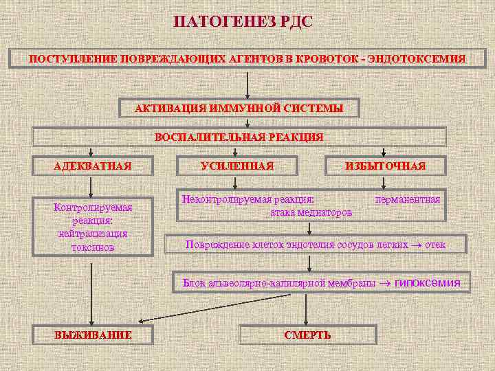 Механизм развития дыхательной гипоксии. Патогенез РДС. Схема патогенеза РДС. РДС взрослых патогенез. Патогенез иммунной системы.