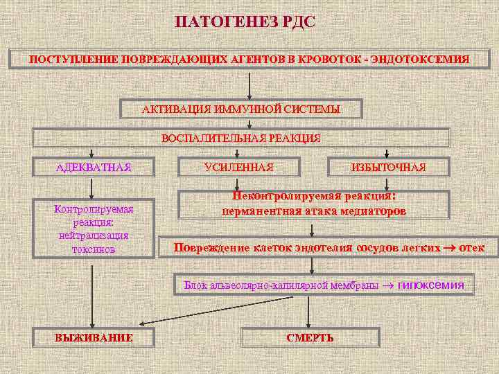 ПАТОГЕНЕЗ РДС ПОСТУПЛЕНИЕ ПОВРЕЖДАЮЩИХ АГЕНТОВ В КРОВОТОК - ЭНДОТОКСЕМИЯ АКТИВАЦИЯ ИММУННОЙ СИСТЕМЫ ВОСПАЛИТЕЛЬНАЯ РЕАКЦИЯ