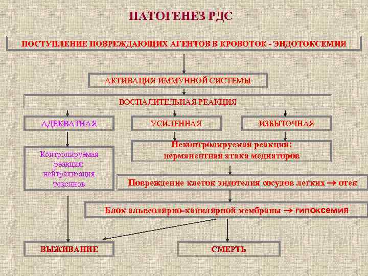 ПАТОГЕНЕЗ РДС ПОСТУПЛЕНИЕ ПОВРЕЖДАЮЩИХ АГЕНТОВ В КРОВОТОК - ЭНДОТОКСЕМИЯ АКТИВАЦИЯ ИММУННОЙ СИСТЕМЫ ВОСПАЛИТЕЛЬНАЯ РЕАКЦИЯ