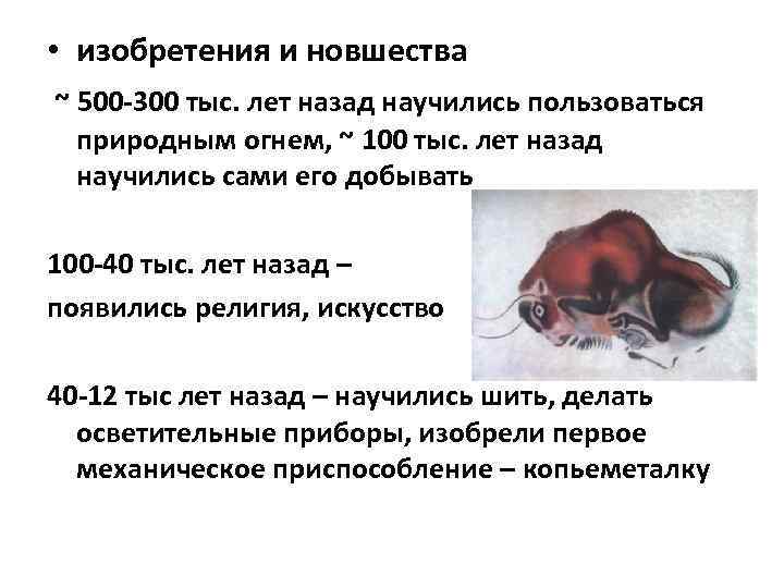  • изобретения и новшества ~ 500 -300 тыс. лет назад научились пользоваться природным