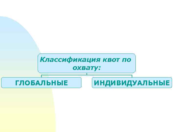 Классификация квот по охвату: ГЛОБАЛЬНЫЕ ИНДИВИДУАЛЬНЫЕ 