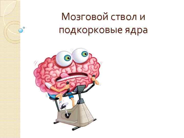 Мозговой ствол и подкорковые ядра 