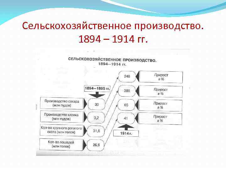 Сельскохозяйственное производство. 1894 – 1914 гг. 