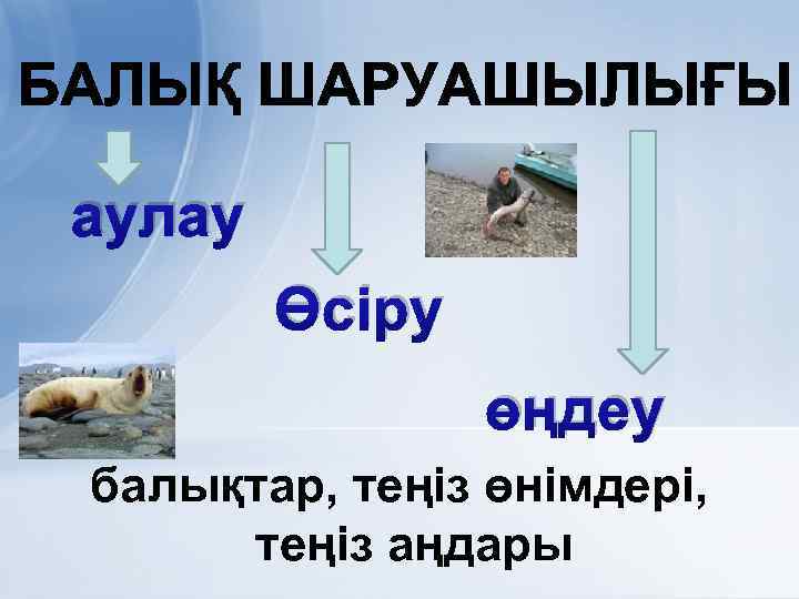 аулау Өсіру өңдеу балықтар, теңіз өнімдері, теңіз аңдары 