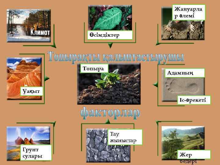 Жануарла р әлемі Өсімдіктер Топыра қ Адамның Уақыт Іс-әрекеті Грунт сулары Тау жыныстар ы