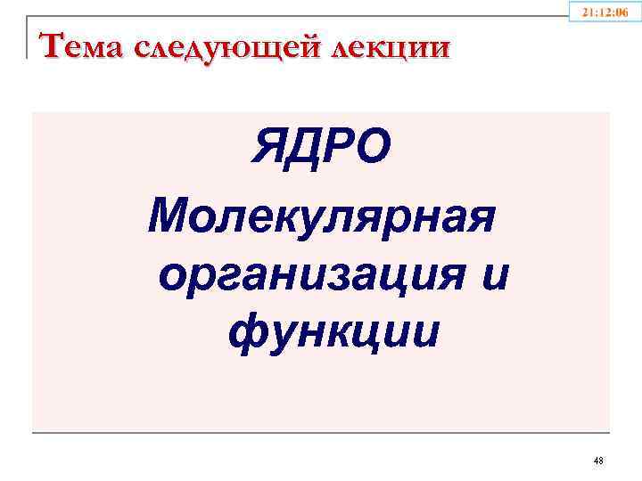 Тема следующей лекции ЯДРО Молекулярная организация и функции 48 