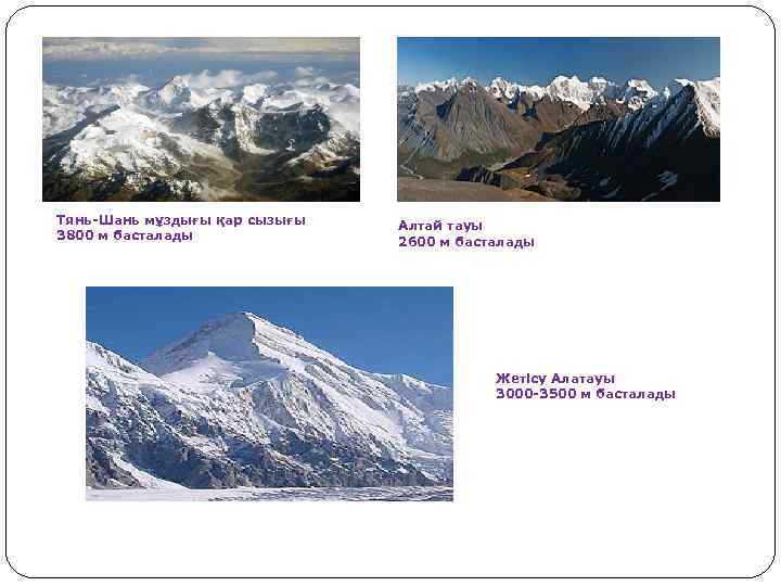 Тянь-Шань мұздығы қар сызығы 3800 м басталады Алтай тауы 2600 м басталады Жетісу Алатауы