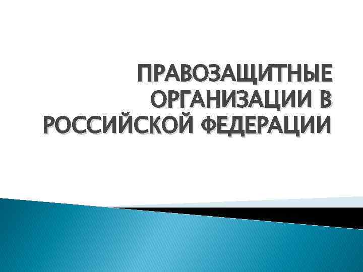 ПРАВОЗАЩИТНЫЕ ОРГАНИЗАЦИИ В РОССИЙСКОЙ ФЕДЕРАЦИИ 